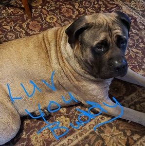 Meet your Posher, Debby